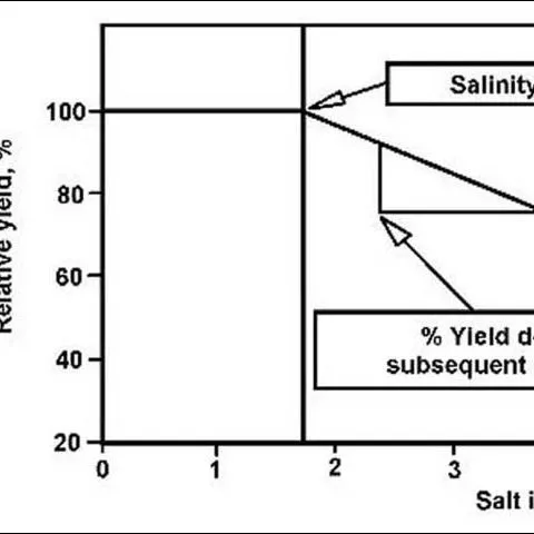 thumbnail for publication: Soil and Container Media Electrical Conductivity Interpretations